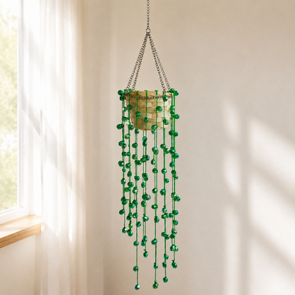 String of Pearls Beaded Hanging Plant