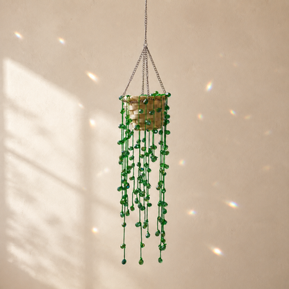 String of Pearls Beaded Hanging Plant