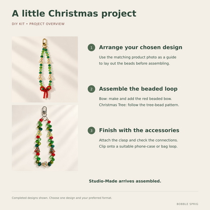 Project overview
