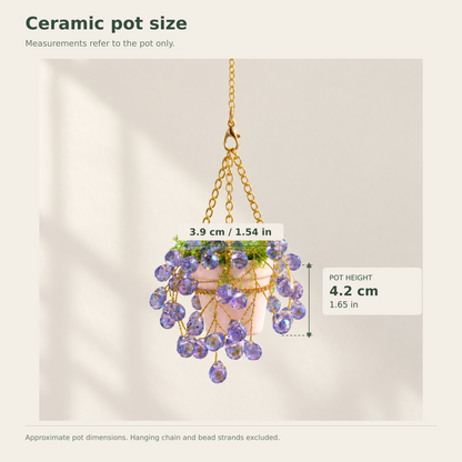 Ceramic pot size guide