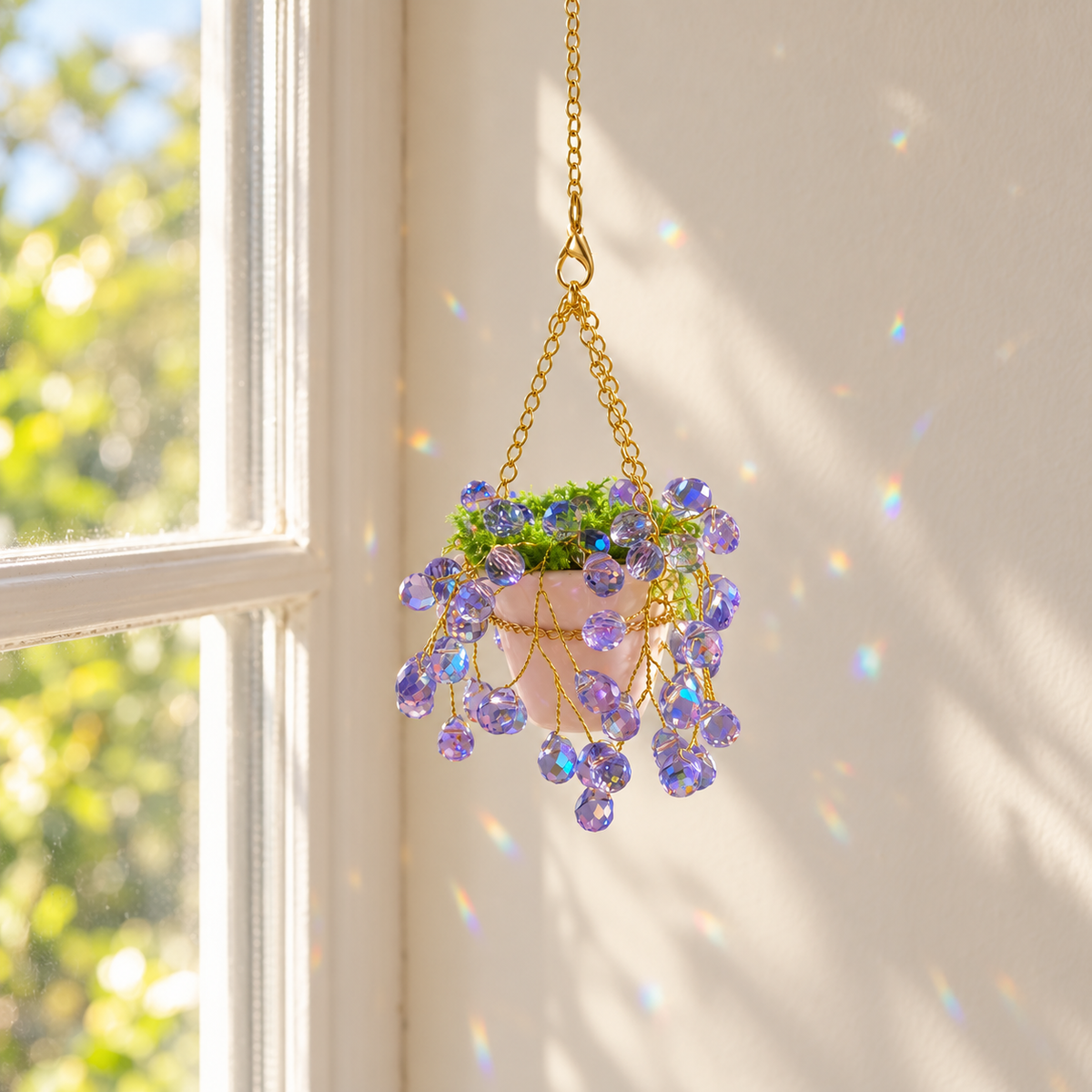 Purple plant beside a sunny window